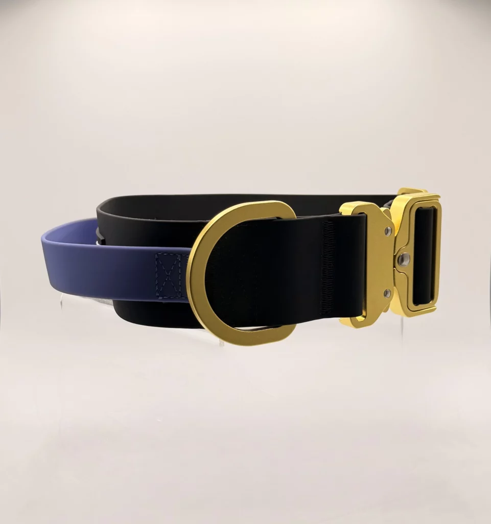 WTRX Control Halsband L in Midnight Violet mit goldenem Sicherheitsverschluss