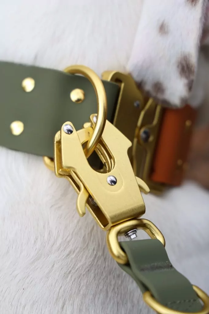 WTRX Control Leine in Moss Gold (Khaki mit Gold), Nahaufnahme des goldenen Froschverschlusses